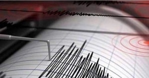 29 injured as 5.6 magnitude quake shakes Iran